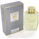 Lalique Lion parfémovaná voda pánská 75 ml tester
