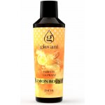 Giovani Koncentrovaný parfém na praní LEMON BOUNTY 250 ml – Zboží Mobilmania