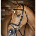 LeMieux Uzdečka Work anglický kombinovaný nánosník černá – Zboží Dáma