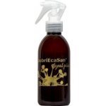 DebriEcaSan hyal Plus 250 ml – Zboží Dáma