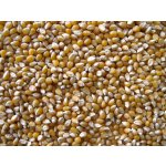 Les Fruits du Paradis Kukuřice na popcorn BIO 3 kg – Zboží Dáma