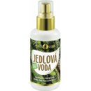 Purity Vision Bio Jedlová voda 100 ml