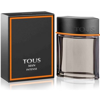 Tous Intense toaletní voda pánská 100 ml