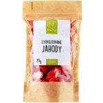 Natu Lyofilizované jahody plátky 20 g – Sleviste.cz