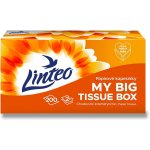 Linteo papírové kapesníčky 2-vrstvé 200 ks – Sleviste.cz