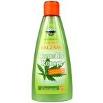 Vivaco Cannabis vlasový šampon ošetřující Herb extrakt 250 ml – Hledejceny.cz