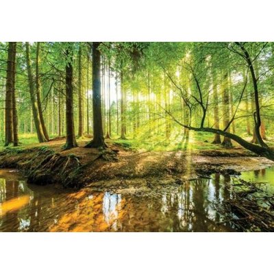 IMPOL TRADE 10513 VEL Vliesová fototapeta les a potok 310513 rozměr 152,5 cm x 104 cm