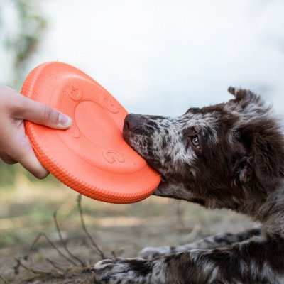 Akinu Aqua pěnové frisbee malé – Zboží Mobilmania