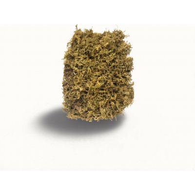 Bio-Tera Sphagnum Base 2 l – Hledejceny.cz