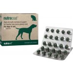 Nutravet Nutracoat pro psy a kočky 45 ks – Hledejceny.cz