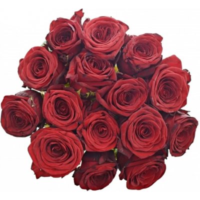 Kytice 15 rudých růží RED NAOMI! 50cm