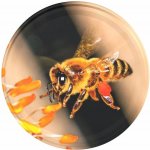 Víčko na sklenici na med se závitem TO 82 - Letící včela – Hledejceny.cz
