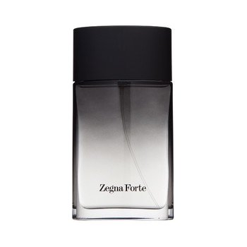 Ermenegildo Zegna Forte toaletní voda pánská 100 ml