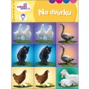 Ditipo Pexeso: Na dvorku