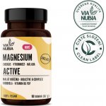ViaNubia Magnesium AKTIV Malate + Rhodiola + B-Complex 90 kapslí – Hledejceny.cz