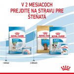 Royal Canin Starter Mother&Babydog Mini 1 kg – Sleviste.cz