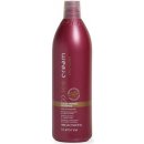 Inebrya Pro-Color Color Perfect Shampoo 1000 ml