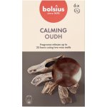 Bolsius Vonné vosky Dřevo sada 6 ks – Hledejceny.cz
