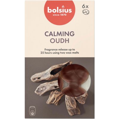 Bolsius Vonné vosky Dřevo sada 6 ks – Hledejceny.cz