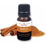 Altevita Skořice 100% esenciální olej 10 ml – Hledejceny.cz