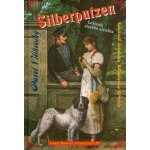 Silberputzen - Pavel Vilikovský – Hledejceny.cz