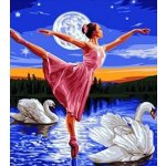 Norimpex Diamantové malování Baletka mezi labutěmi 30 x 40 cm – Hledejceny.cz