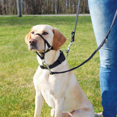 Trixie výcviková ohlávka Top Trainer L-XL 48-60 cm/37 cm – Hledejceny.cz