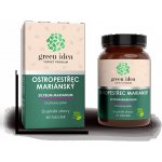 Green idea Ostropestřec bylinný extrakt 60 tablet – Hledejceny.cz