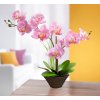 Květina Die moderne Hausfrau Dekorační orchidej