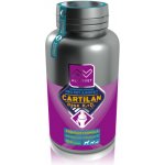 Altervet Cartilan Base K2+D3 135 g 100 tbl – Hledejceny.cz