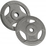 PHYSIONICS Zátěžové kotouče litina 2 x 15 kg 31 mm – Hledejceny.cz