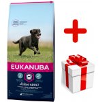 Eukanuba Adult Large Breed 15 kg – Hledejceny.cz