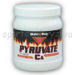 NutriStar Pyruvate Ca 500 kapslí – Hledejceny.cz
