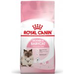 Royal Canin Mother & BabyCat 10 kg – Hledejceny.cz