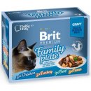 Brit Premium Cat Delicate Fillets in Gravy Family Plate 12 x 85 g