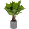 Květina Kave Home Anthurium umělá květina zelená/šedá