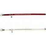 Beeztees Obojek pro kočky SWAROVSKI 24 - 30 cm x 10 mm – Zboží Dáma