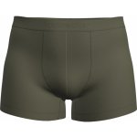 Icebreaker Mens 125 Cool-Lite Anatomica Trunks – Zboží Mobilmania
