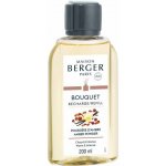 Maison Berger náplň do difuzéru Ambrový prach 200 ml – Zboží Dáma