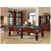 Kulečníkový stůl ikulecnik Billiard BIBIONE 9ft