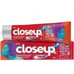 Closeup Everfresh Cool Breeze 90 g – Hledejceny.cz