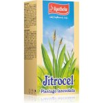 Apotheke Jitrocel čaj 20 x 1,5 g – Hledejceny.cz