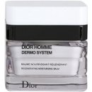 Dior Homme hydratační balzám pro muže Regenerating Moisturizing Balm 50 ml