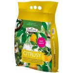 NohelGarden Substrát RAŠELINA Premium pro citrusy 5 l – Hledejceny.cz