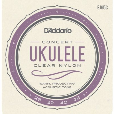 D'addario EJ65C – Sleviste.cz