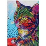 Norimpex Diamantové malování Upřený pohled 30 x 40 cm – Hledejceny.cz