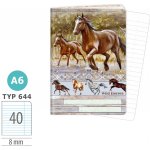 Argus Sešit A6 TYP 644 Wild horses – Zboží Dáma