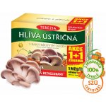 Terezia Hlíva ústřičná s rakytníkovým olejem 60+60 kapslí Limitovaná edice 2025 – Hledejceny.cz