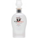 Vodquila Vodka 40% 0,7 l (holá láhev) – Zboží Dáma