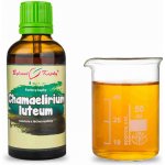 Bylinné kapky Pavlovy bylinné kapky Chamaelirium luteum tinktura 50 ml – Hledejceny.cz